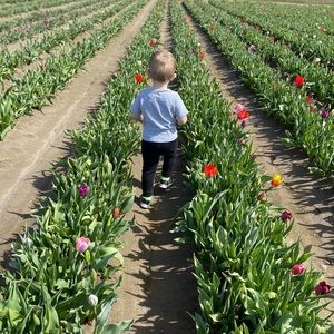 Meet your Posher, Mary